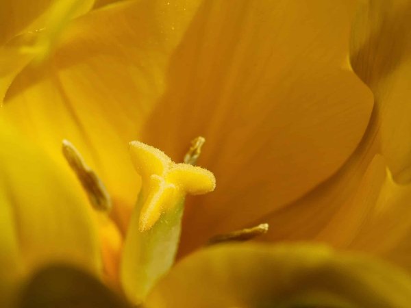 Haute-Savoie : Au-delà de l'hébergement, nos coups de cœur pour une immersion totale dans la région