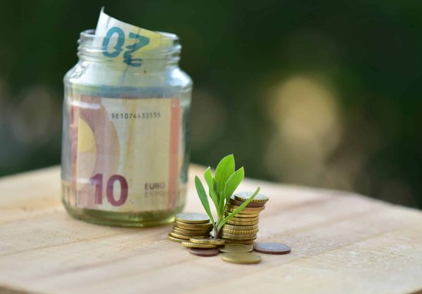 Comment réduire les coûts d'entretien d'une grande propriété ?